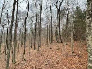 0 Canyon Run Rd Unit Lots 50, 51, 52, Lewisburg, KY 42256