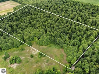 7641 Mick Rd, Benzonia, MI 49616