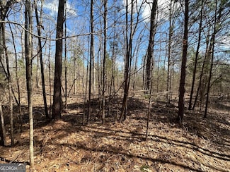 0 Rocky Point Rd Unit 10488289, Covington, GA 30014