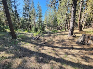 0 Beaver Ln Unit 23664251, Bonanza, OR 97623