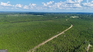 0 Penny Morris Rd, Baxley, GA 31513