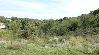 374 N Emory Creek Rd, Marvel Cave Park, MO 65616