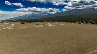 31308 N Meadow Way, Buena Vista, CO 81211