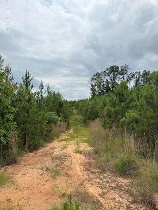 0 Dividing Ridge Rd, Gore Springs, MS 38929