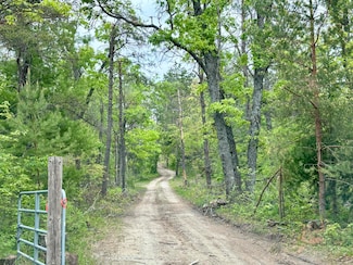 0 Town Line Rd, Lewiston, MI 49756