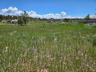 20 Lancer Ct, Pagosa Springs, CO 81147