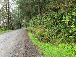 0 Bernhardt Creek Rd, Mapleton, OR 97453
