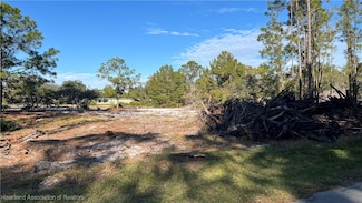 1028 Mimosa St, Lake Placid, FL 33852