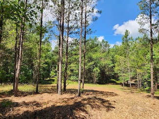 0 Wriley Rd Unit 20405797, McIntyre, GA 31054