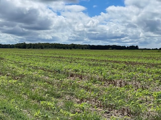 5700 Block Pine Forest Rd, McDavid, FL 32568