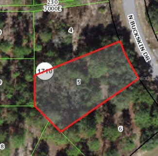 6664 N Buckskin Dr, Pine Ridge, FL 34434