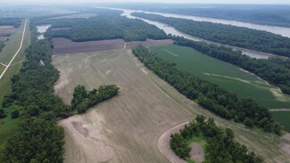 0 Levee Rd, Fults, IL 62244
