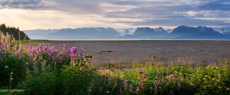 5230 Kachemak Dr, Homer, AK 99603