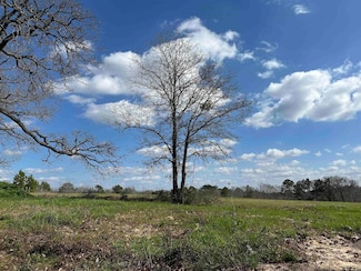 TBD LOT 1 County Road 401, Henderson, TX 75654