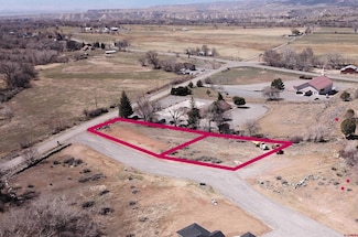 TBD SE 3rd Lot 8 Will-O-way Subdivision St, Cedaredge, CO 81413