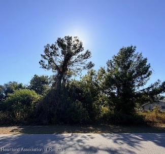 254 Loquat Rd NW, Lake Placid, FL 33852