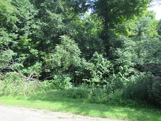 Tract 7 Brookside Ct, Lagrange Township, MI 49031