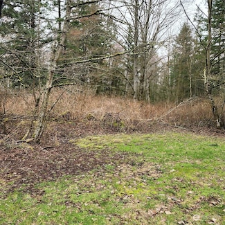 0 Valley View Lot 2 Rd Unit NWM2208210, Ferndale, WA 98248
