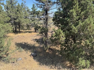 Unit 3 Lot 161 Lake Shore Dr Unit 3, Lake Shastina, CA 96094