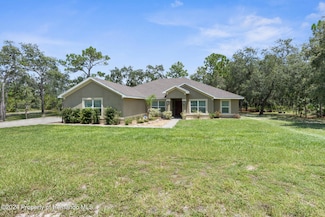 11233 Mirage Ave, Weeki Wachee, FL 34614
