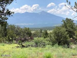 23320 Forest Service 548 Rd, Flagstaff, AZ 86001