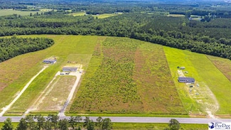 TBD Us 341 Johnsonville Hwy, Lake City, SC 29562