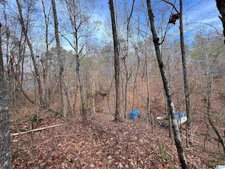 0 Oma Dr Unit 7 21402960, McCalla, AL 35111