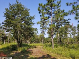 0 Lowery Rd Unit Lot 10 335439, Atmore, AL 36502