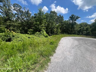 Lot 5 the Ridges Austin Ln, Joplin, MO 64804