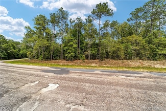 10291 N Sherman Dr, Citrus Springs, FL 34434