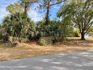 1849 Saracen Ave SE, Palm Bay, FL 32909