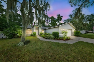 3818 Biscay Place, Land O Lakes, FL 34639