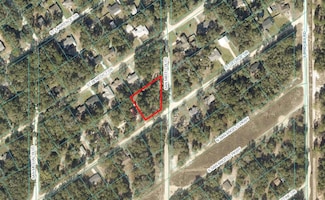 LOT #228 & #229 St George Drive & San Mateo Blvd, Dunnellon, FL 34432