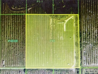 46310 Neal Rd, Punta Gorda, FL 33983