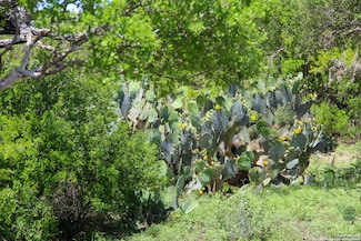 1400 Fm 1343, Castroville, TX 78009