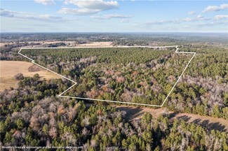 TBD Farm To Market 3016, Grapeland, TX 75844