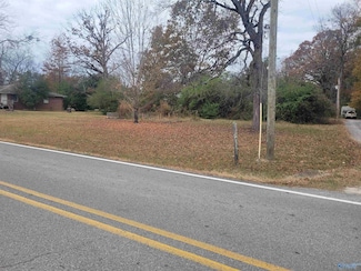 Lot 0 College Ave, New Hope, AL 35760