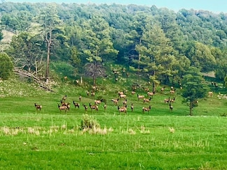 Wapiti Ranch, Glencoe, NM 88324