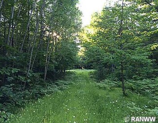 47460 Blue Moon Rd, Drummond, WI 54832
