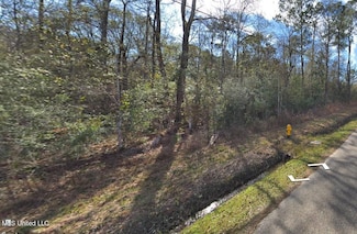 Lot 16 Cedar Dr, Pearlington, MS 39572
