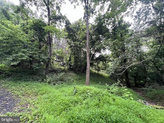 1332 King David Dr, Linden, VA 22642