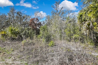 0 Ozark Dr Unit 2252212, Hudson, FL 34667
