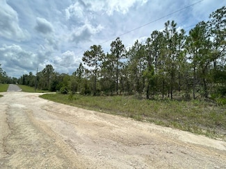 lot 6 NE 152 Ct, Williston Highlands, FL 32696