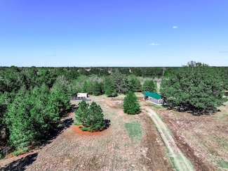 6716 County Road 2235, Bagwell, TX 75412