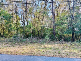 6262 E Holly St, Inverness, FL 34452