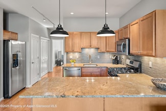 1330 E Valley Rd Unit 7, Basalt, CO 81621