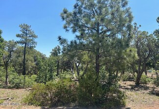 2001 S High Line Dr, Show Low, AZ 85901