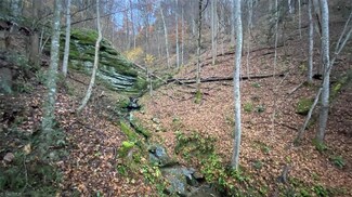 000 Elk Creek Rd, Deep Gap, NC 28618