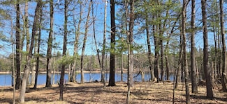 Lot 1 Farming Rd N, Arbor Vitae, WI 54568