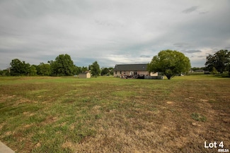 1807 Roye Ln, Marion, IL 62959